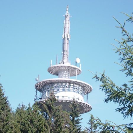 Apartamento Haus Am Wald Hillscheid Exterior foto