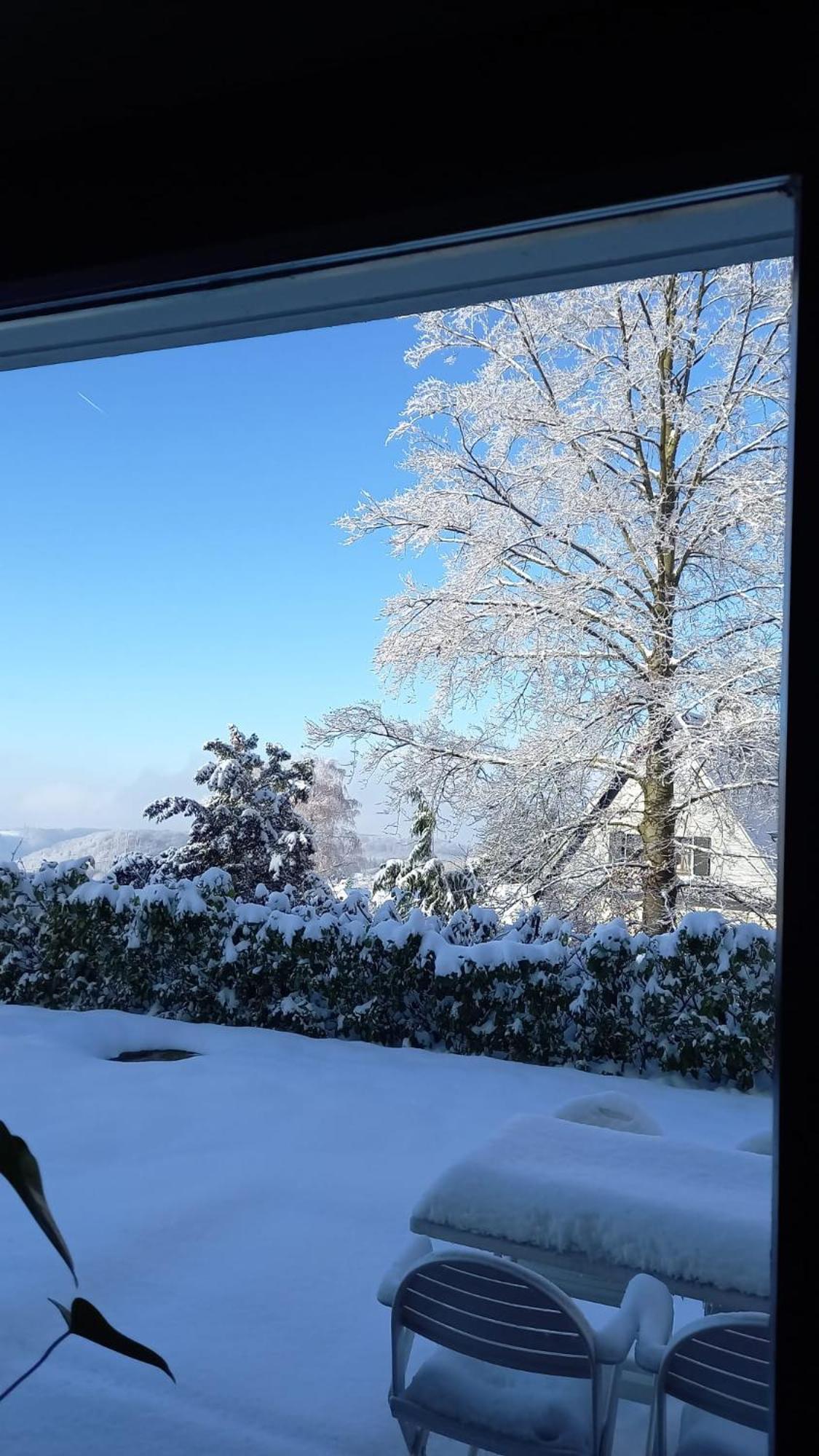 Apartamento Haus Am Wald Hillscheid Exterior foto