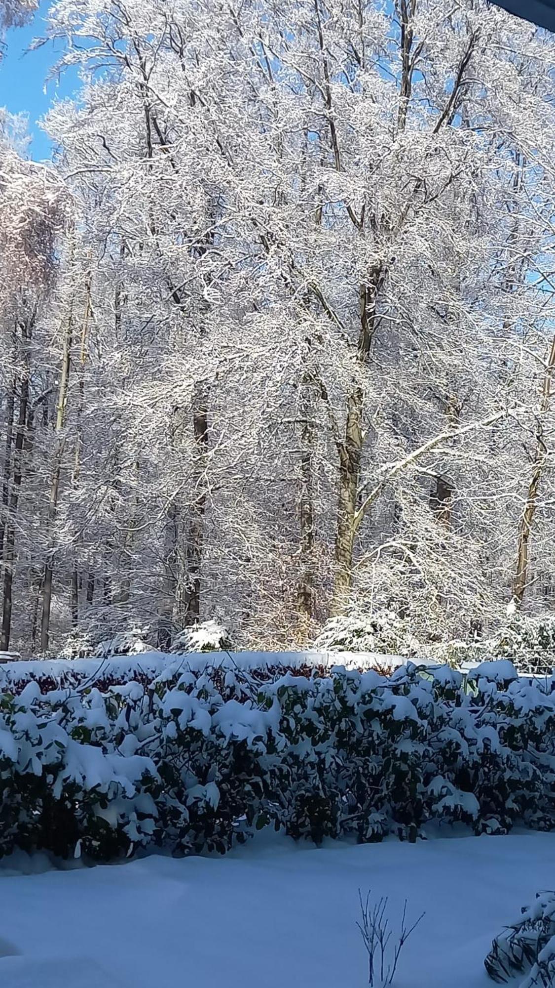 Apartamento Haus Am Wald Hillscheid Exterior foto