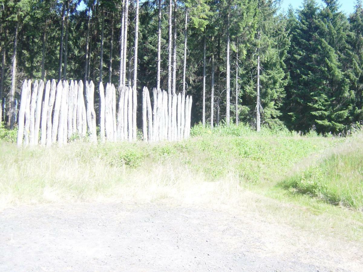 Apartamento Haus Am Wald Hillscheid Exterior foto