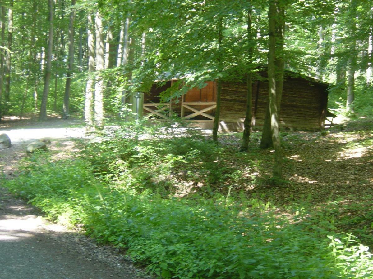 Apartamento Haus Am Wald Hillscheid Exterior foto